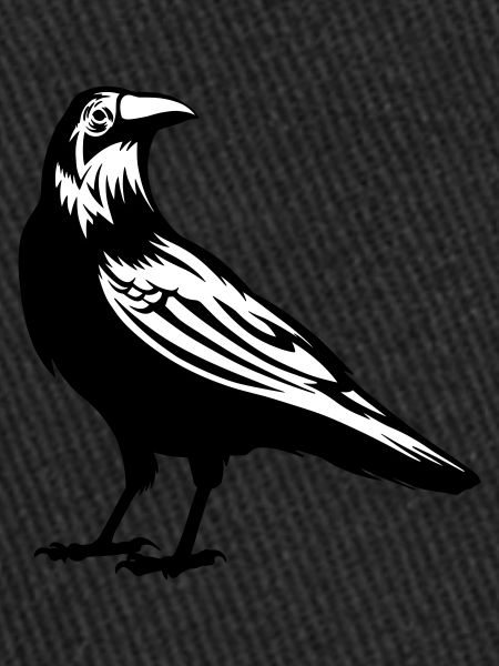 Raven - crow