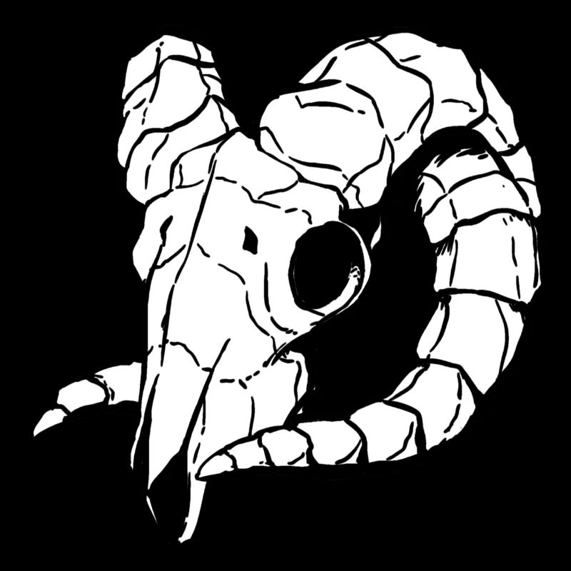 Skull - Sheep skull