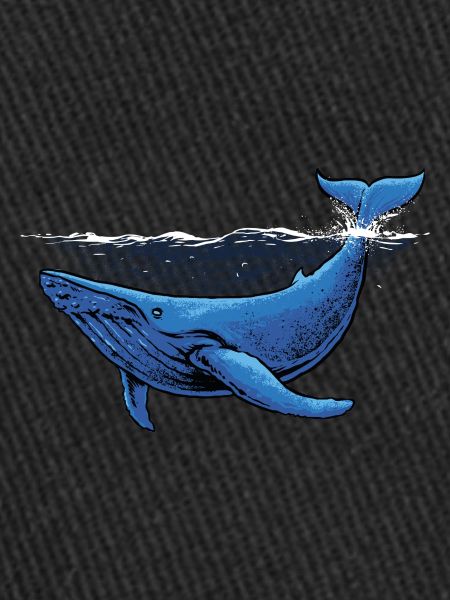 blue whale illustration