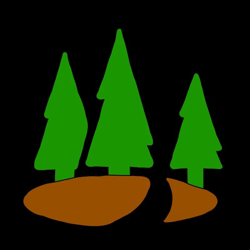 Conifer christmas tree fir tree forest fir tree