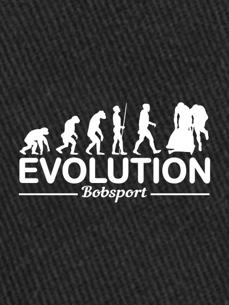 Bobsleigh Evolution Drôle