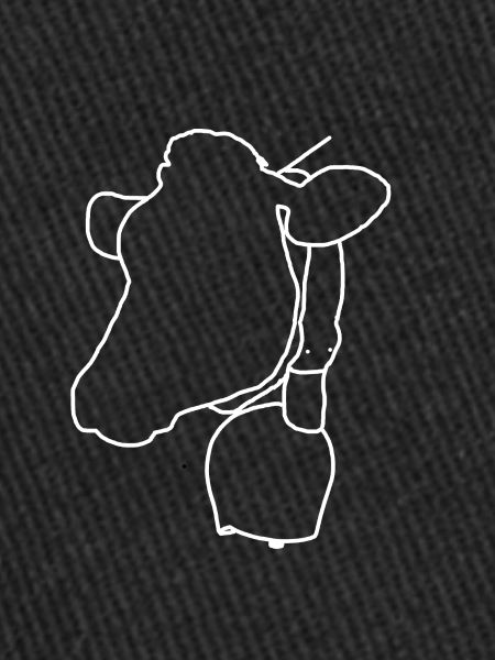 Tête de vache blanche