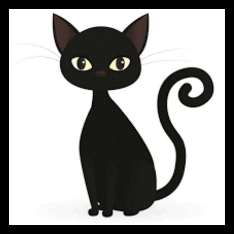 black cat