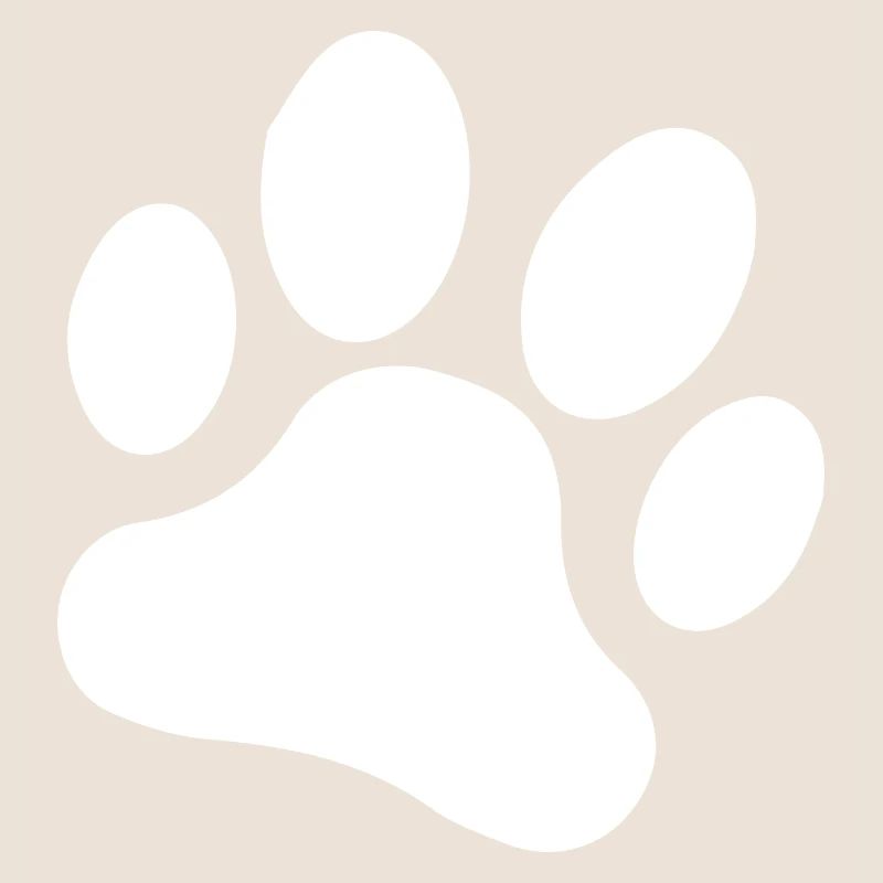 Chien chien