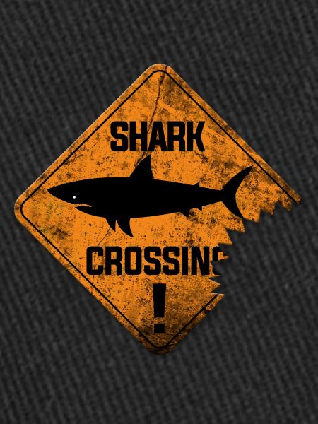 TRAVERSEMENT DE REQUINS