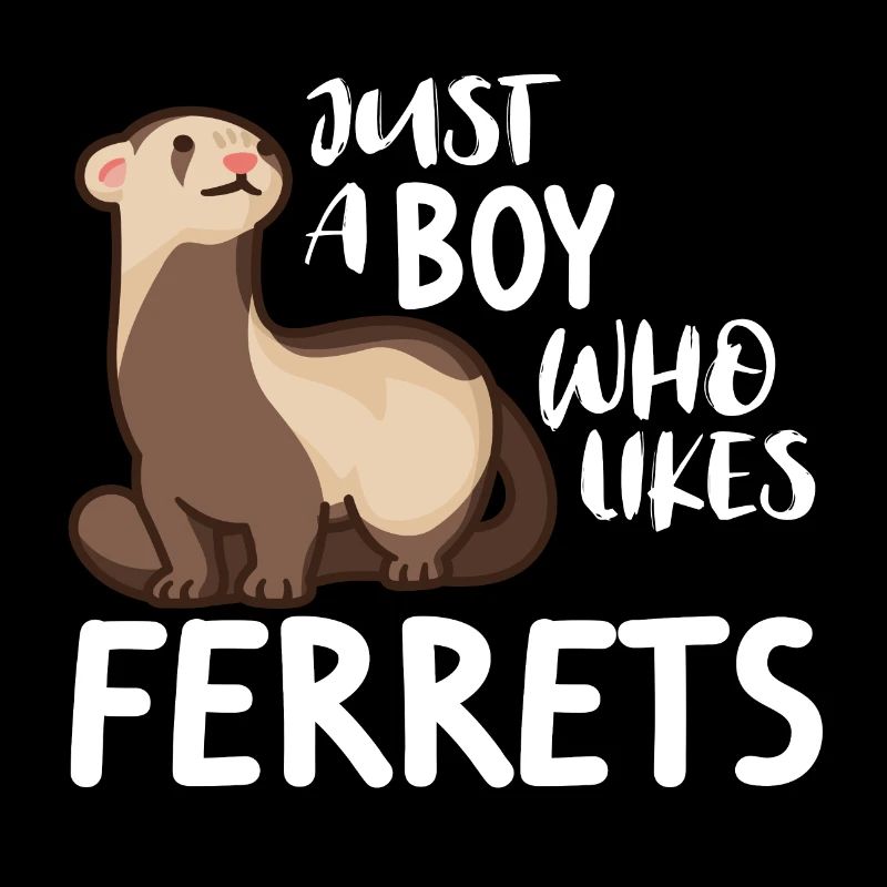 Frettchen Wiesel Ferret Just a boy