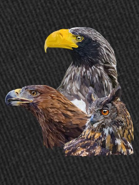 Oiseaux de proie