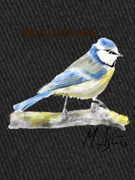 Blaumeise