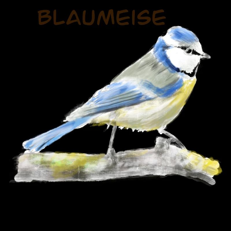 Blaumeise