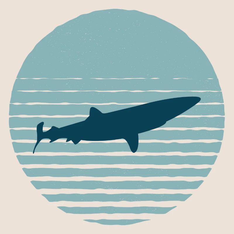 Requin dans l’eau