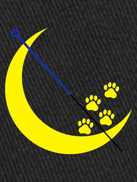 Veterinary acupuncture