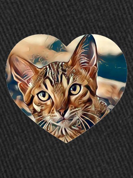 Chat