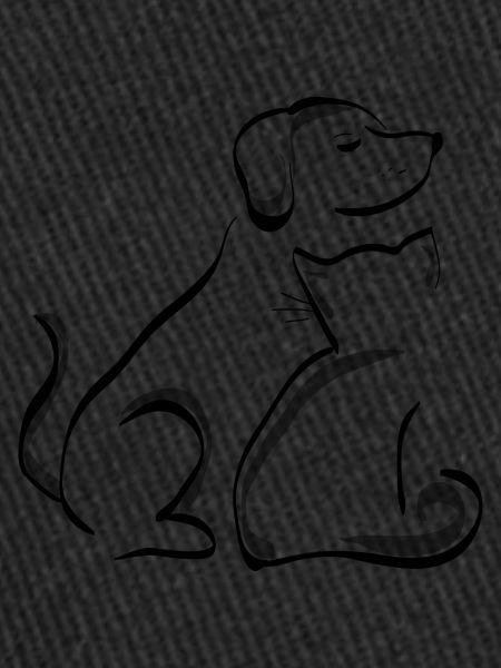 Chat et chien