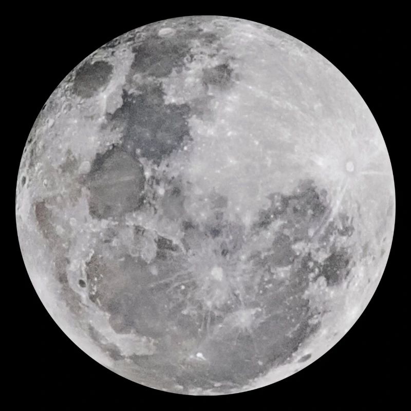 Echter Mond