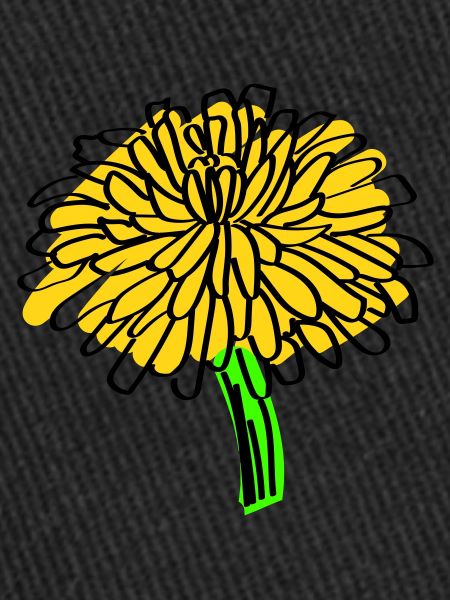 Dandelion