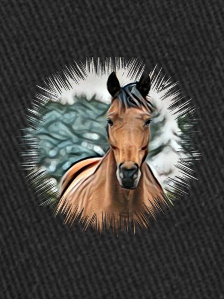 Cheval