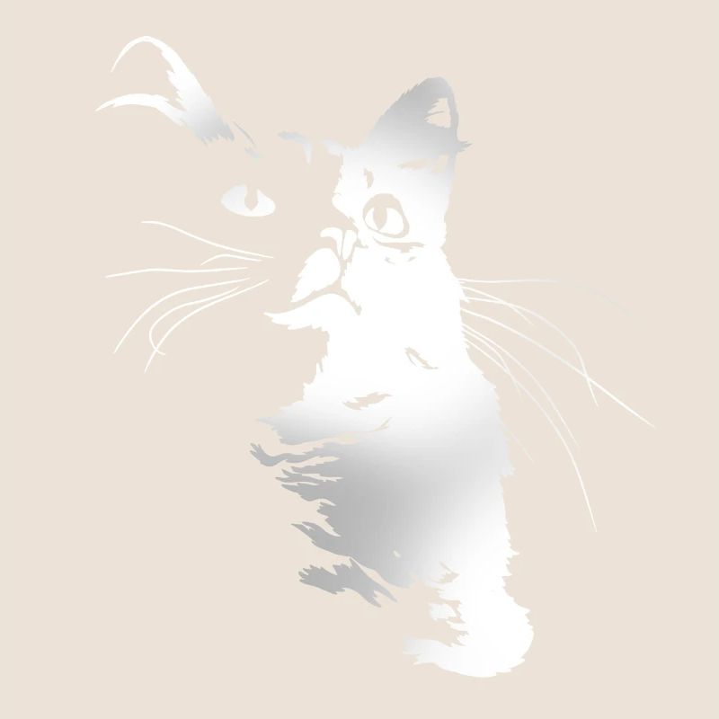 Chat