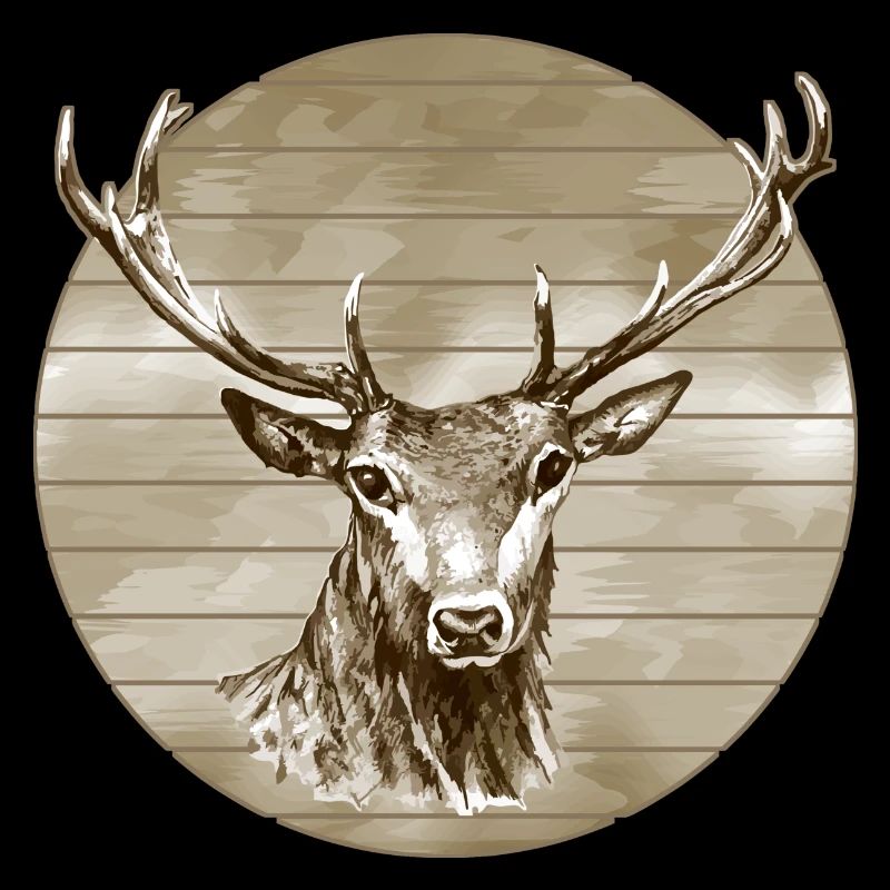 Hirsch