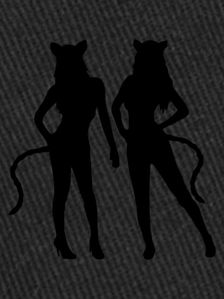 Équipe 2 chats