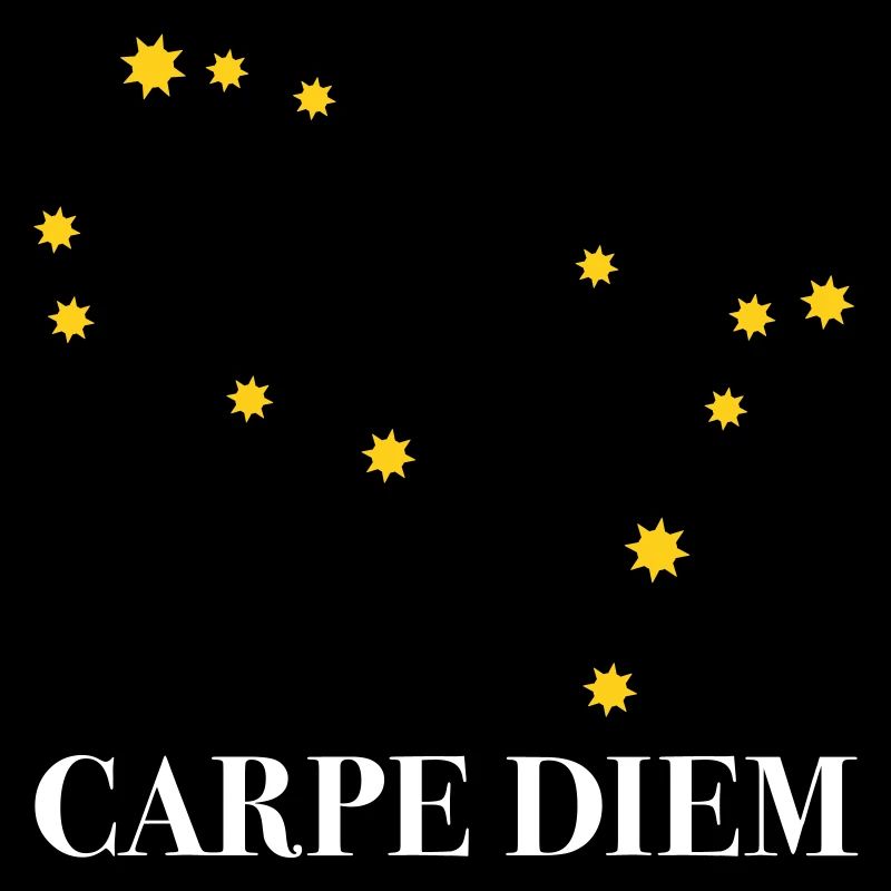 Carpe Diem nutze den Tag Sternbild Zwilling Gemini