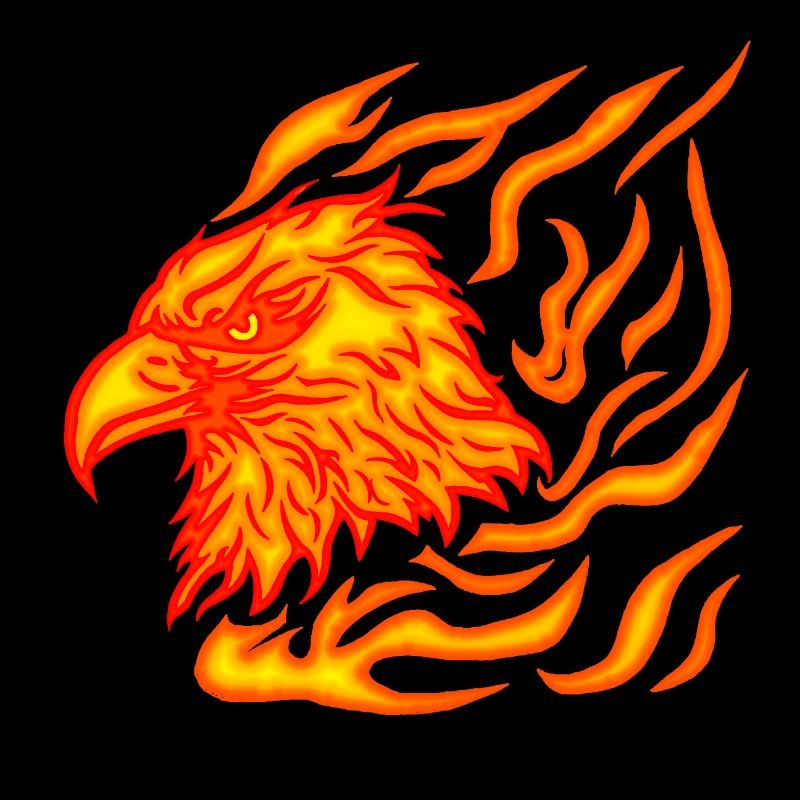 cool, burning phoenix head with flames