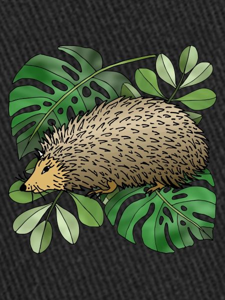 Hedgehog