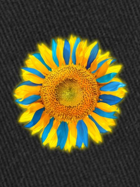 Ukraine4