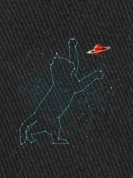 Constellation du chat