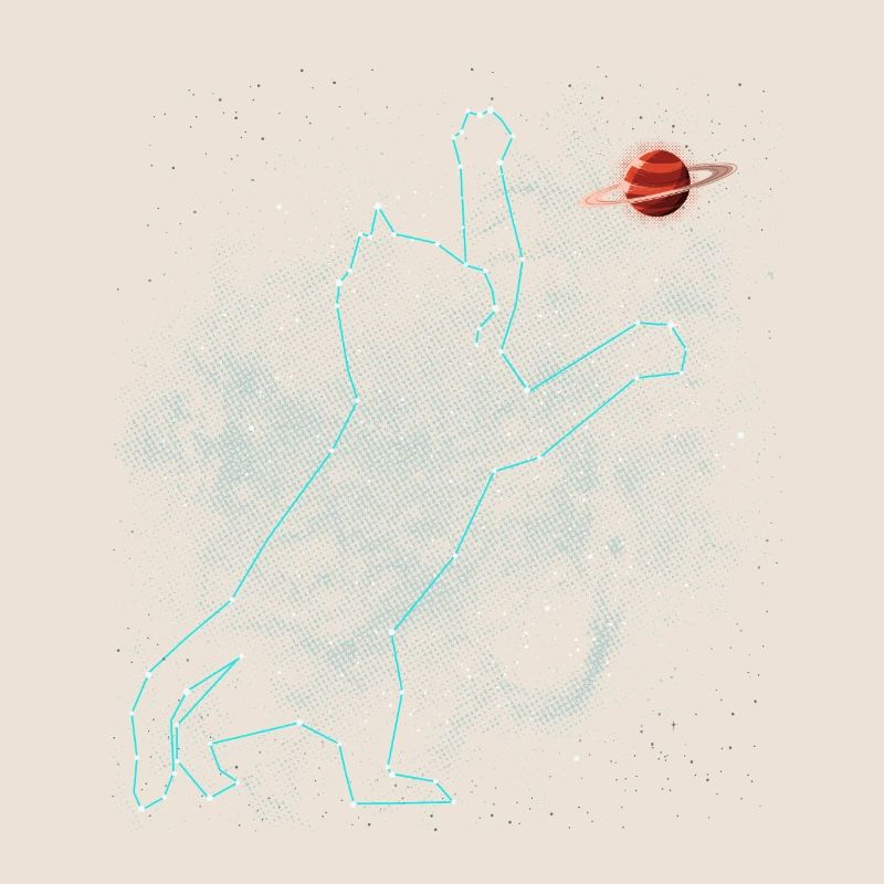 Constellation du chat