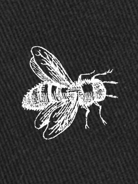 APES - forest bee