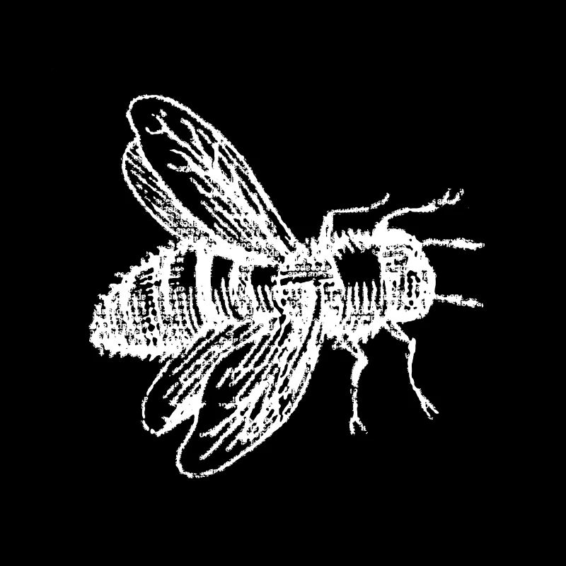 APES - forest bee