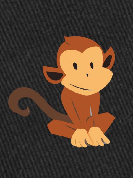 Cute little monkey