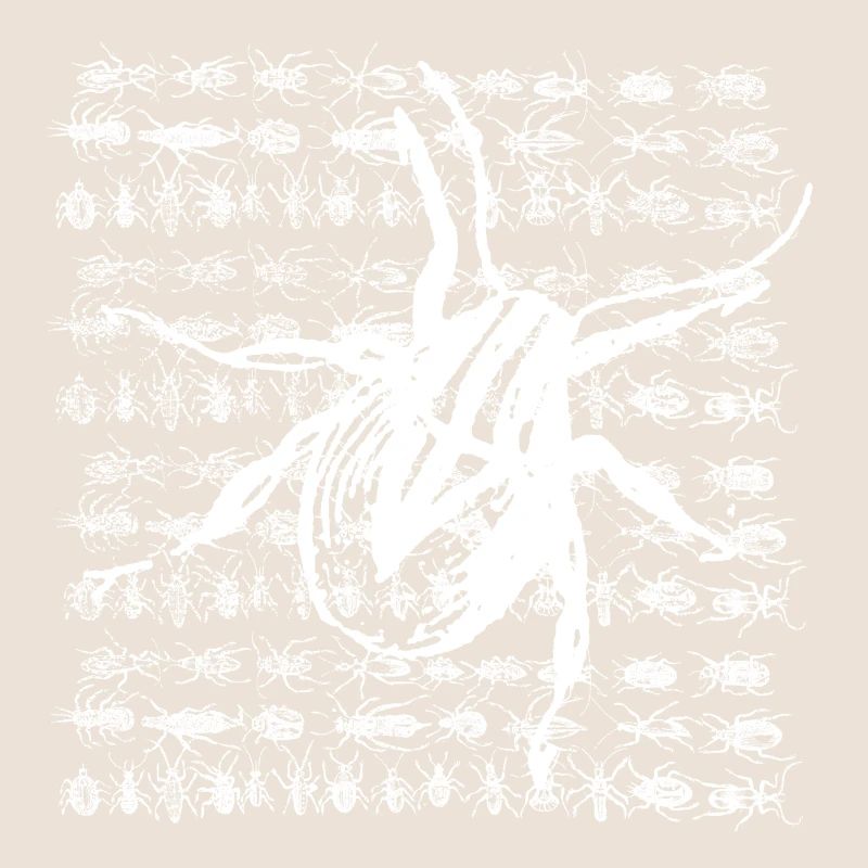 Petit insecte blanc
