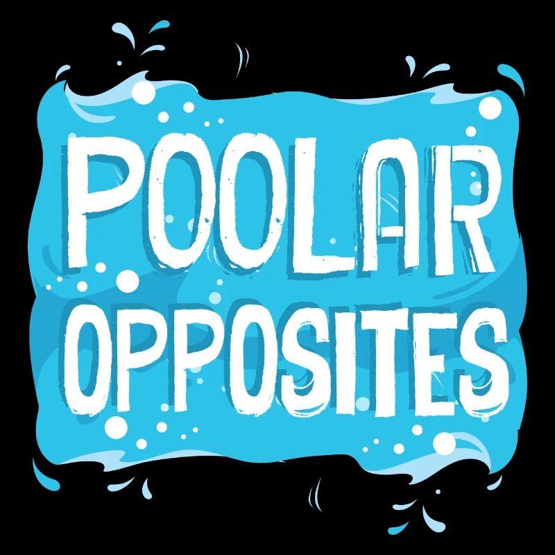 Pool Guy Cleaner Pool Service