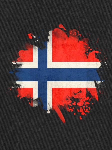Norway Norway Oslo scandinavia viking