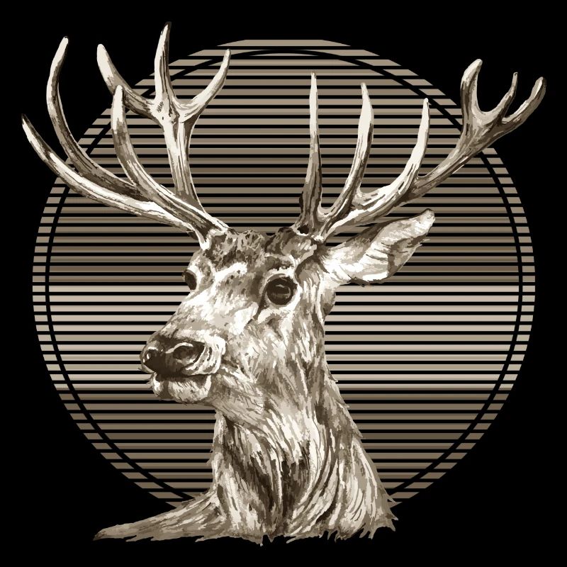 Hirsch