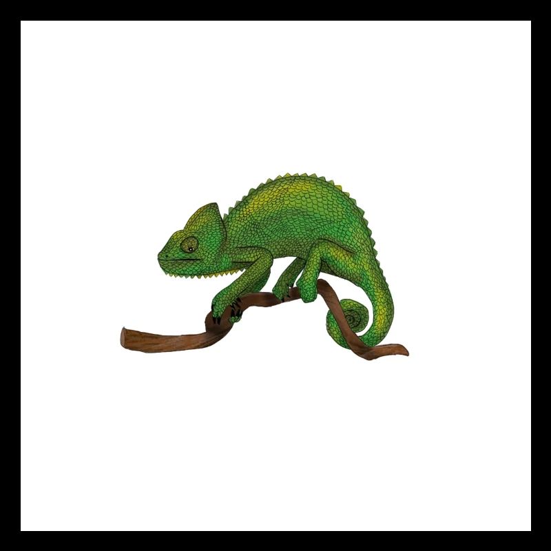Caméléon