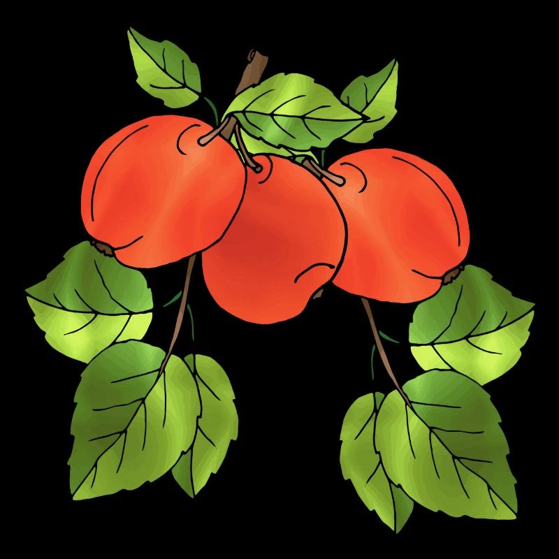 Äpfel