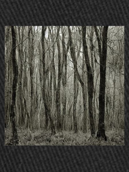 Forêt triste