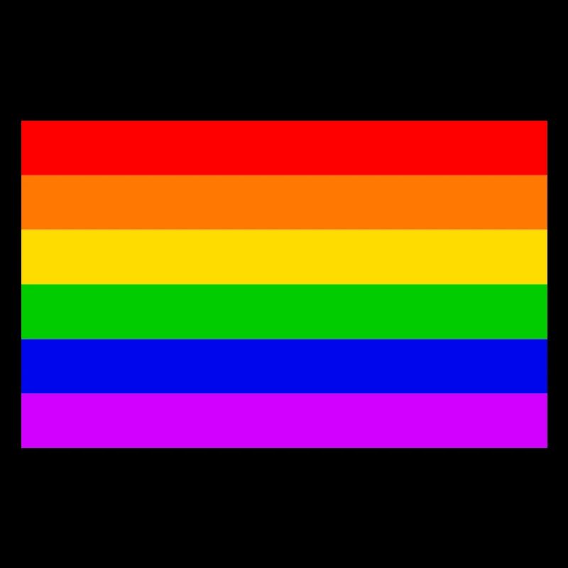 Gay Rainbow Transgender Rainbow Flag