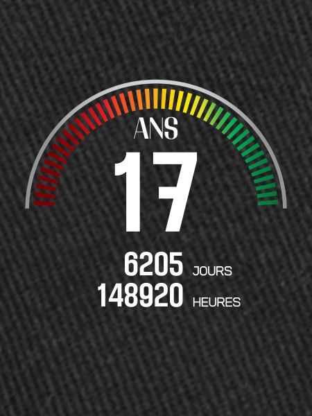 Anniversaire 17 ans Compteur