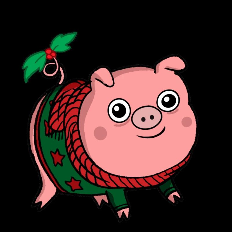 Cochon de Noel cute pull d'hiver