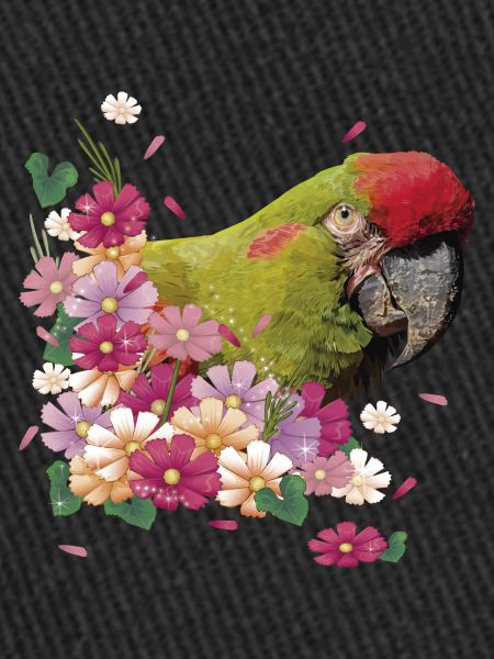 Red-fronted Macaw