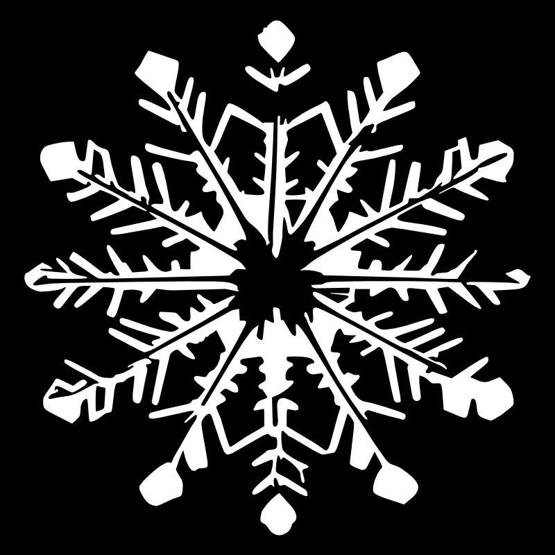 Snowflake Snow Winter Christmas Vector 11