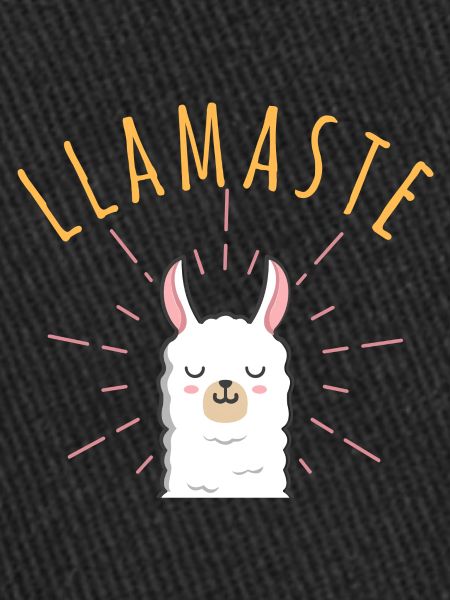 Namaste | Llamasta