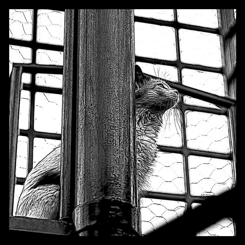 Die Katze auf dem Dach