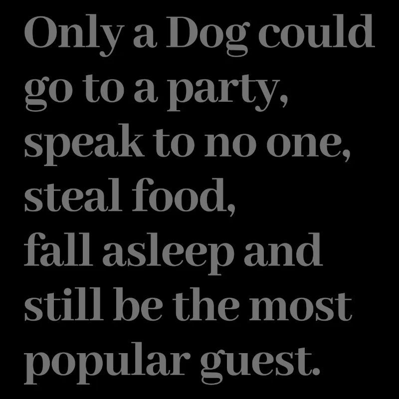 Drôle de citation de chien