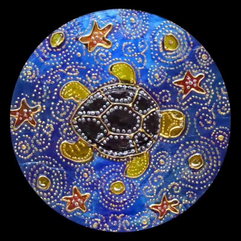 Modifizierte blaue CD Schildkröte 1