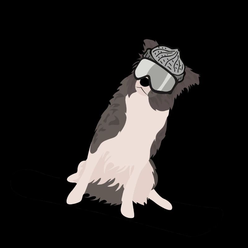 Boarder Collie