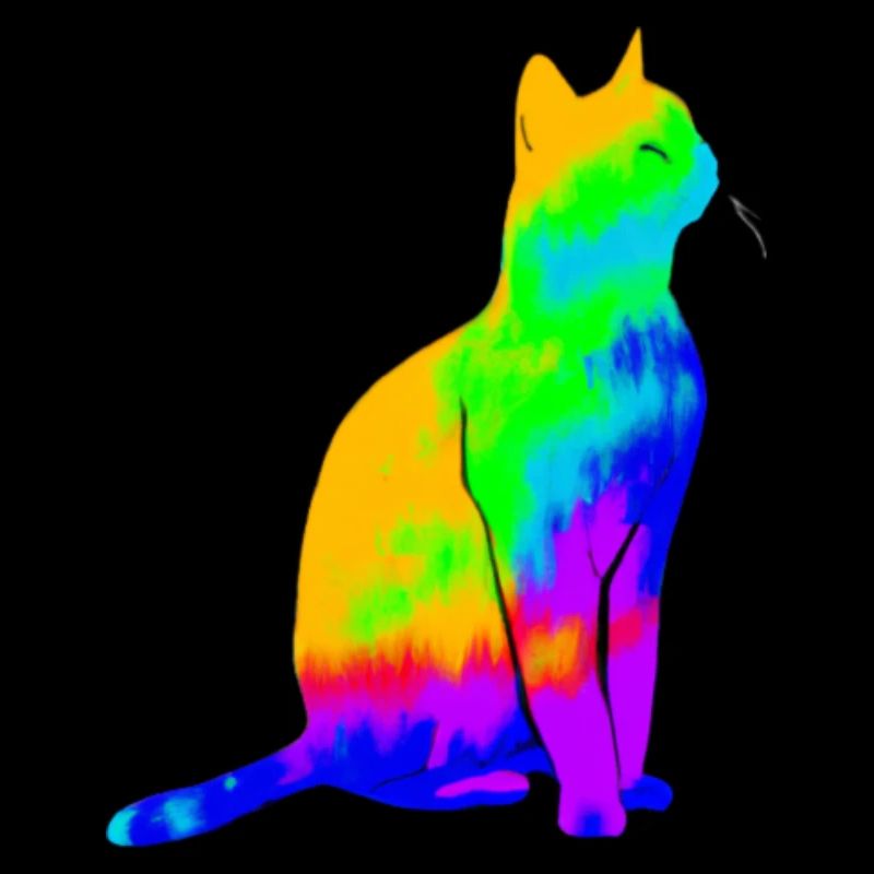 chat coloré mignon mignon idée cadeau